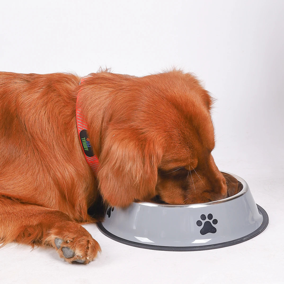 1PC Stainless Steel Pet Bowl / Anti Slip