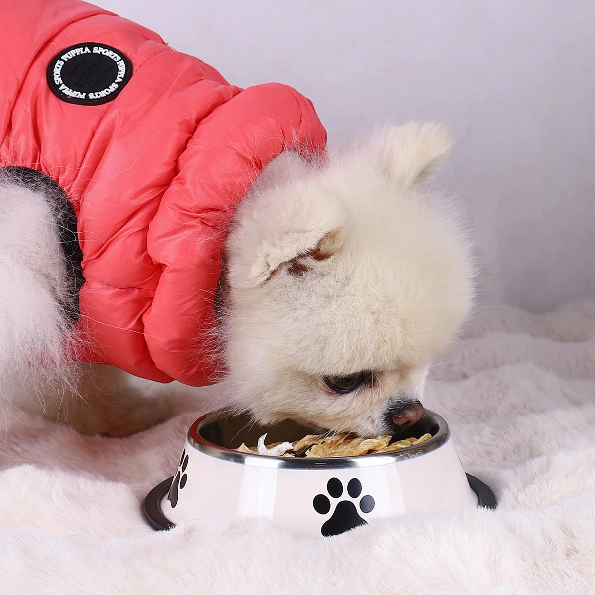 1PC Stainless Steel Pet Bowl / Anti Slip