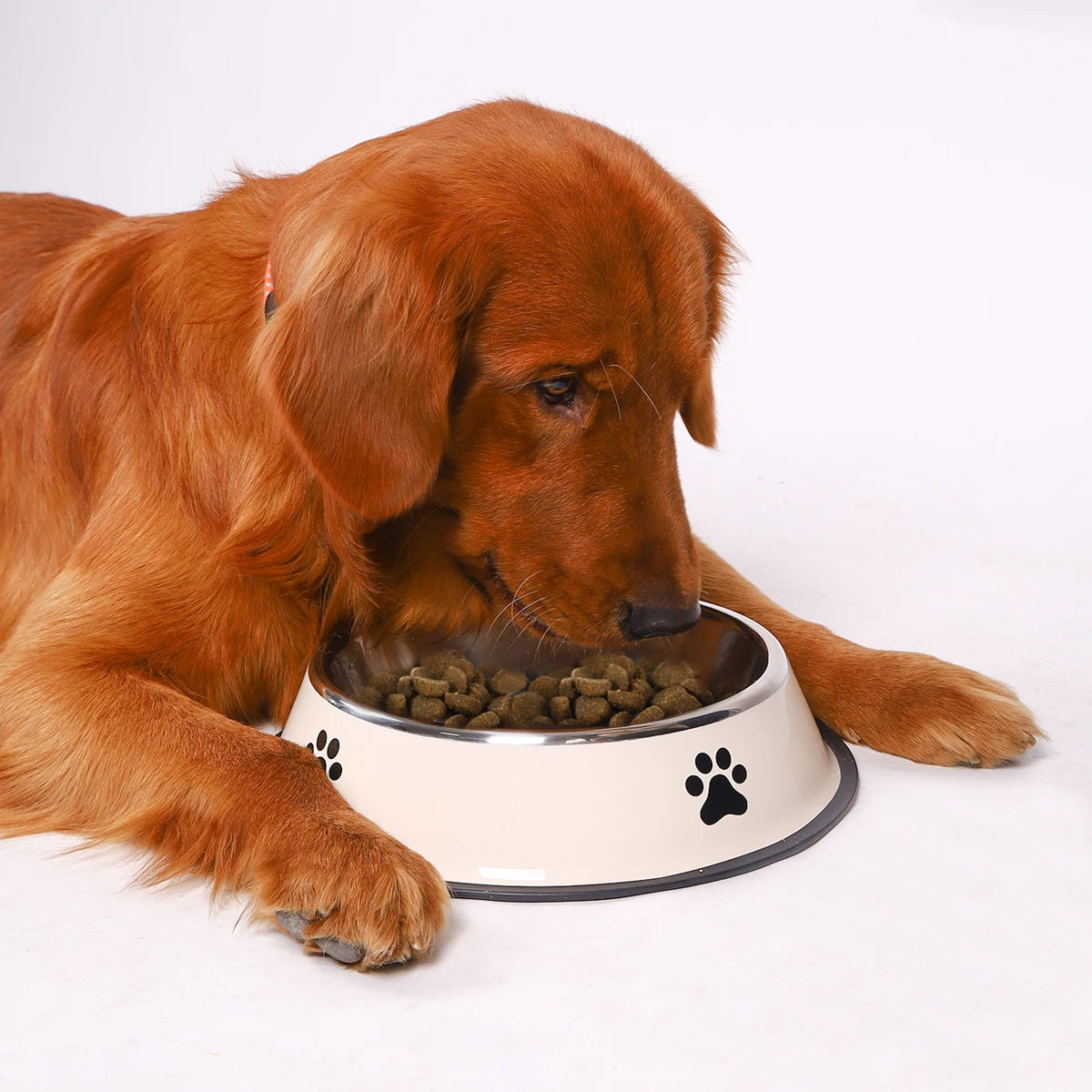 1PC Stainless Steel Pet Bowl / Anti Slip