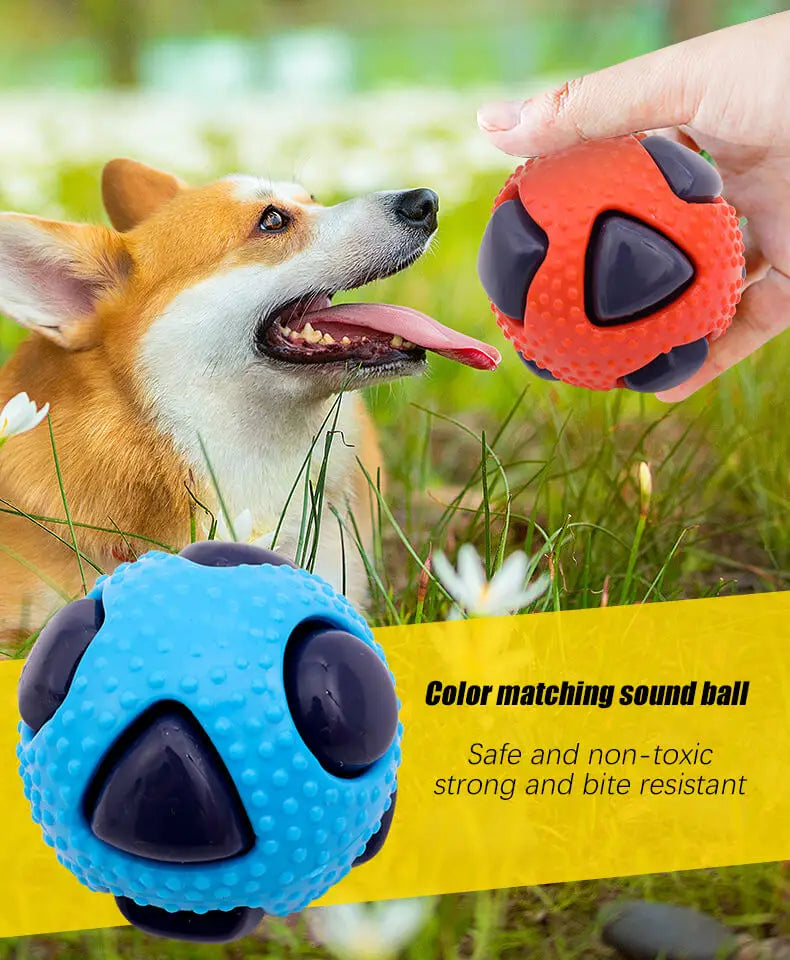 Pet TPR Toy Ball Interaction Pets Relieving Boredom Bite Resistance